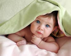 Slider image (10) Embryos | IVF Fertility Mexico